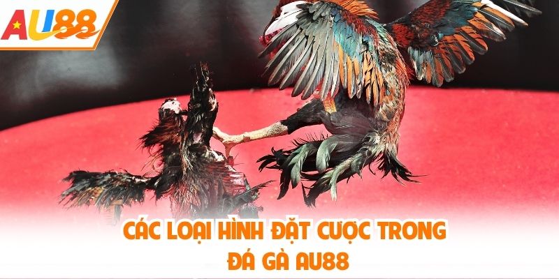 Các loại hình đặt cược trong đá gà AU88